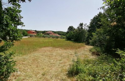 Building land in Momjan - Kremenje