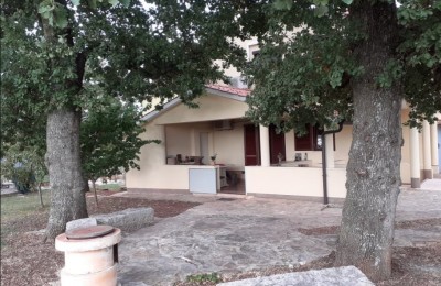 2 apartments in the vicinity of Novigrad