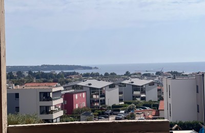 Luxurious penthouse with sea view - Novigrad (bA3)