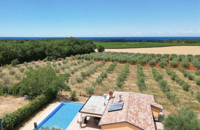 Detached house with a view of the sea and a large garden - Novigrad