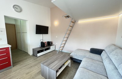 A nice studio apartment in the vicinity of Novigrad