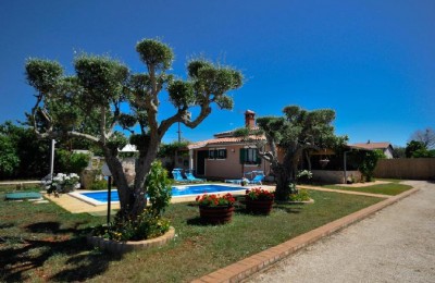House with Pool in Novigrad